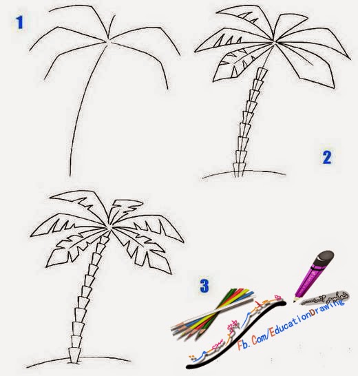 تعليم الرسم  للمبتدئين  بقلم الرصاص خطوة خطوة بالصور والشرح  √ - تعليم الرسم